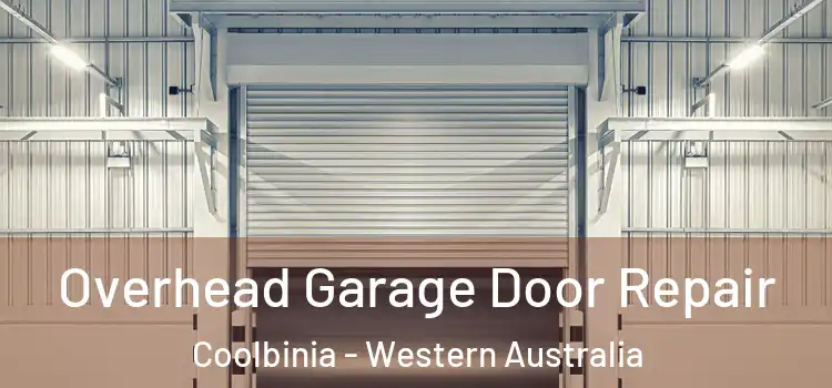 Overhead Garage Door Repair Coolbinia - Western Australia
