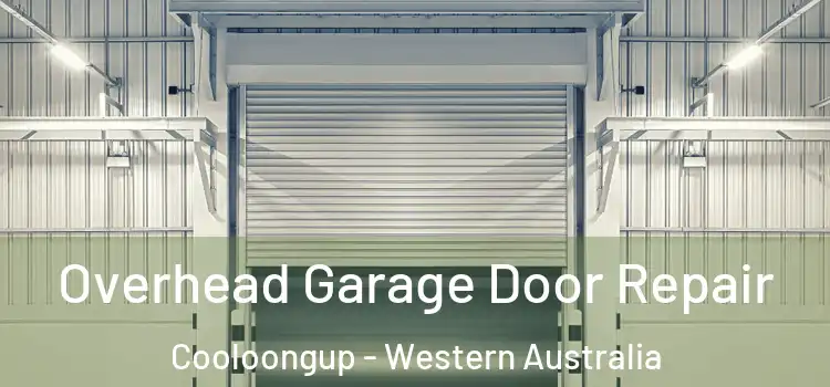 Overhead Garage Door Repair Cooloongup - Western Australia