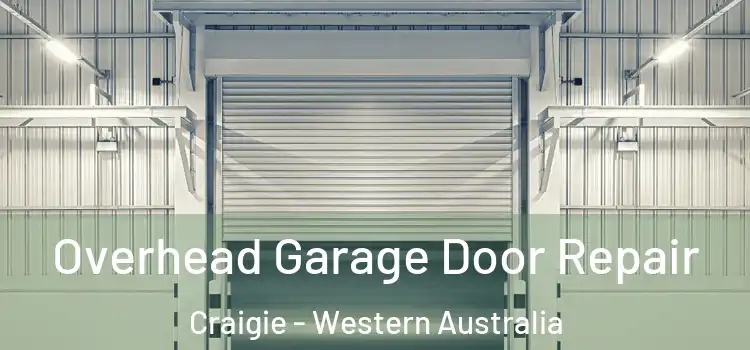Overhead Garage Door Repair Craigie - Western Australia