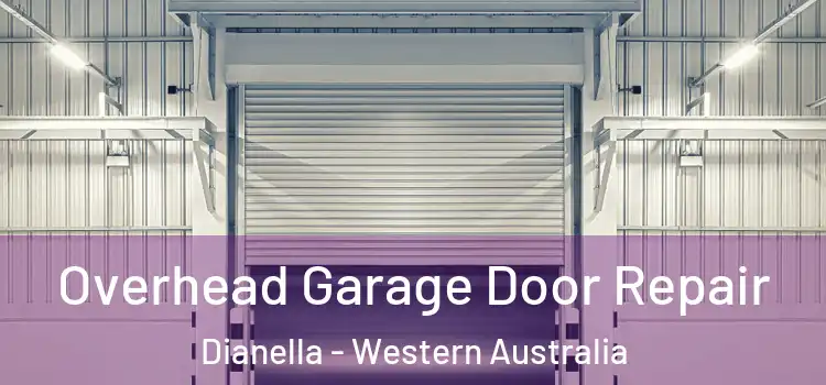Overhead Garage Door Repair Dianella - Western Australia