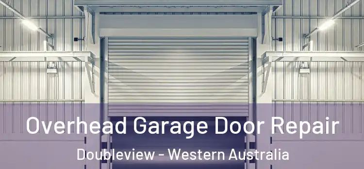 Overhead Garage Door Repair Doubleview - Western Australia