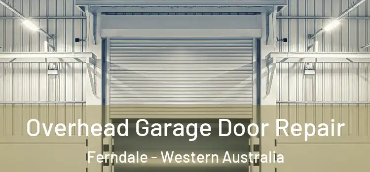 Overhead Garage Door Repair Ferndale - Western Australia