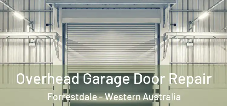Overhead Garage Door Repair Forrestdale - Western Australia