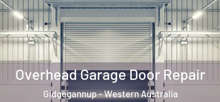Overhead Garage Door Repair Gidgegannup - Western Australia