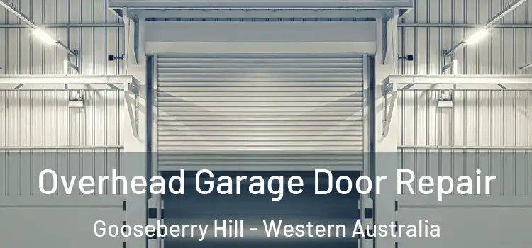 Overhead Garage Door Repair Gooseberry Hill - Western Australia