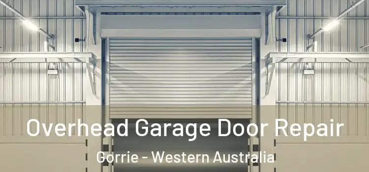 Overhead Garage Door Repair Gorrie - Western Australia