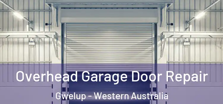Overhead Garage Door Repair Gwelup - Western Australia