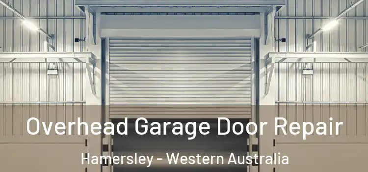 Overhead Garage Door Repair Hamersley - Western Australia