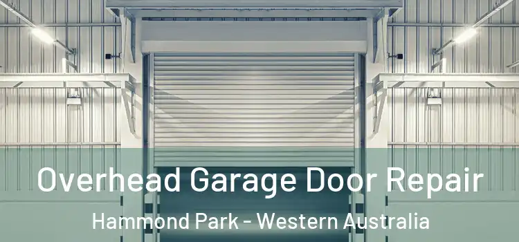Overhead Garage Door Repair Hammond Park - Western Australia