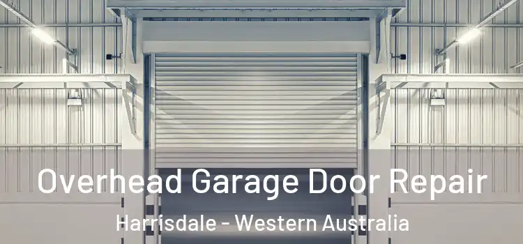 Overhead Garage Door Repair Harrisdale - Western Australia