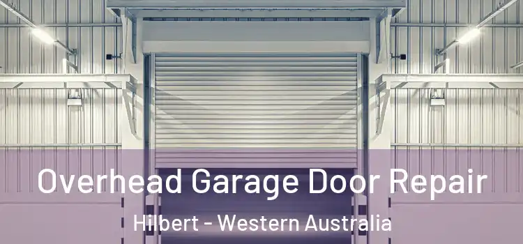 Overhead Garage Door Repair Hilbert - Western Australia