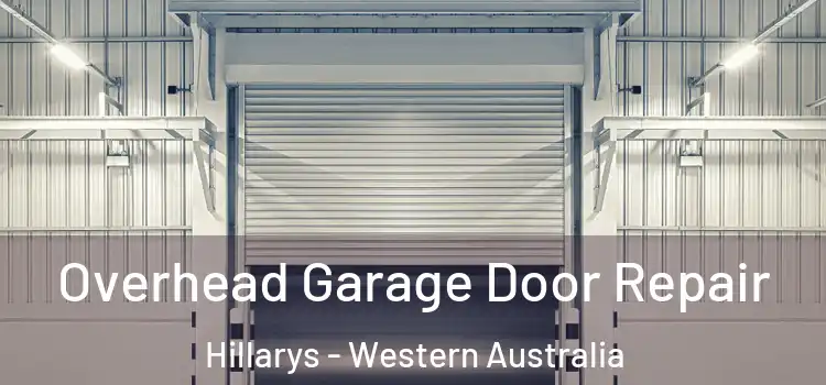 Overhead Garage Door Repair Hillarys - Western Australia