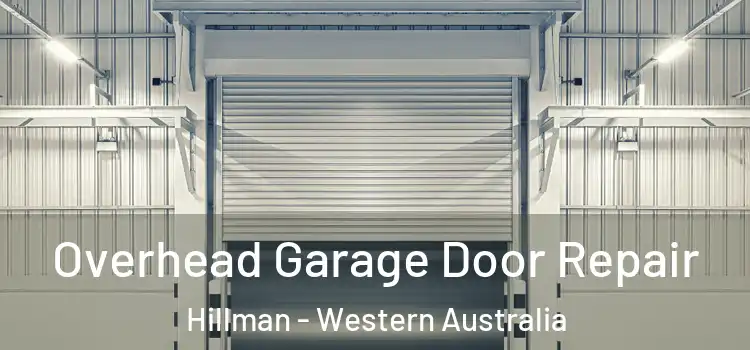 Overhead Garage Door Repair Hillman - Western Australia