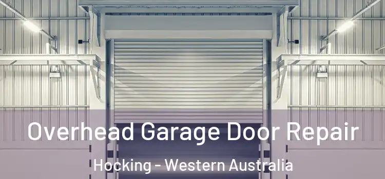 Overhead Garage Door Repair Hocking - Western Australia