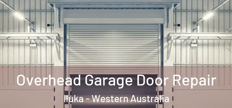 Overhead Garage Door Repair Iluka - Western Australia