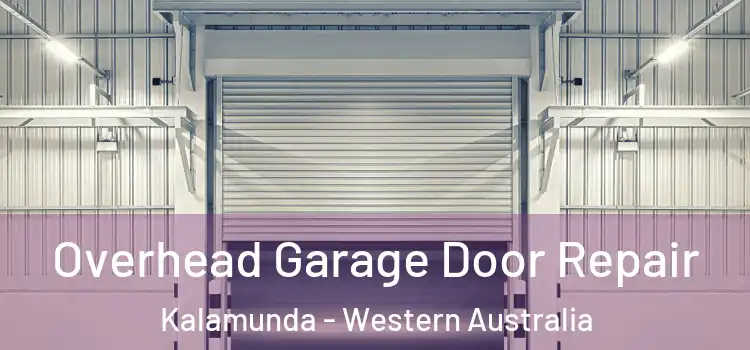 Overhead Garage Door Repair Kalamunda - Western Australia