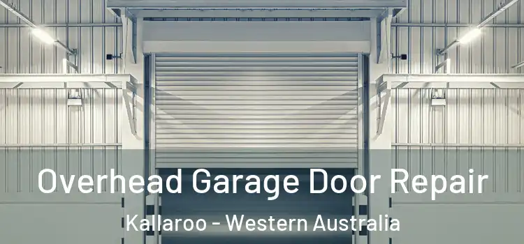 Overhead Garage Door Repair Kallaroo - Western Australia