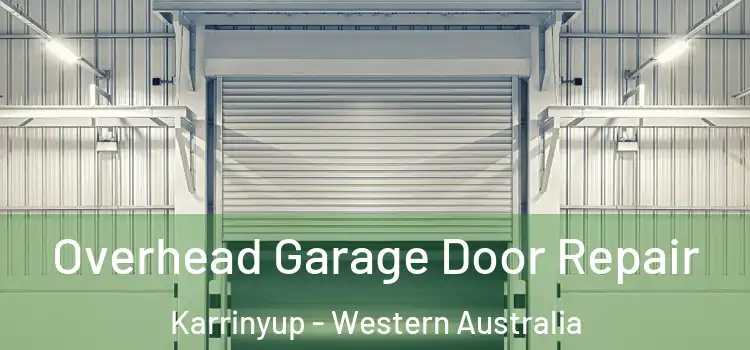 Overhead Garage Door Repair Karrinyup - Western Australia