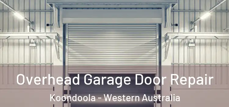 Overhead Garage Door Repair Koondoola - Western Australia