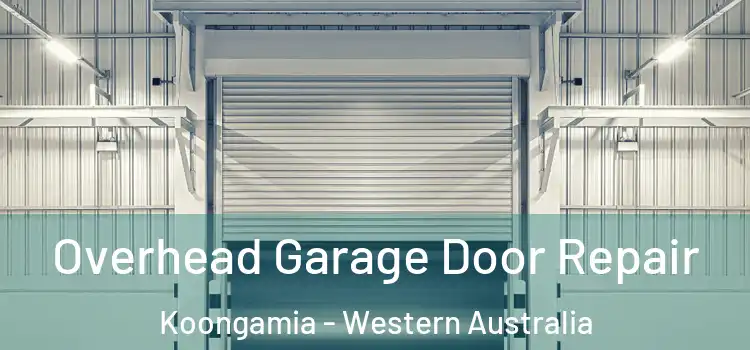 Overhead Garage Door Repair Koongamia - Western Australia
