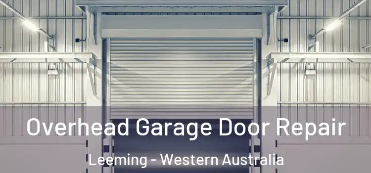 Overhead Garage Door Repair Leeming - Western Australia