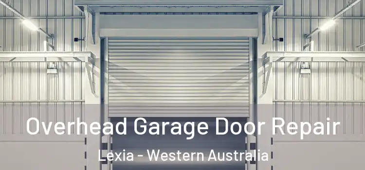 Overhead Garage Door Repair Lexia - Western Australia