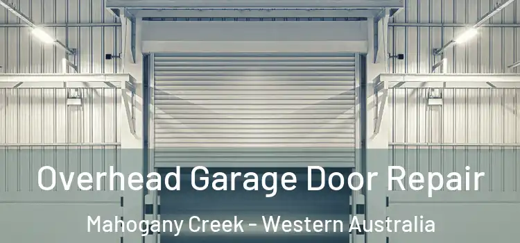 Overhead Garage Door Repair Mahogany Creek - Western Australia