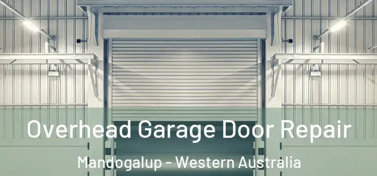 Overhead Garage Door Repair Mandogalup - Western Australia