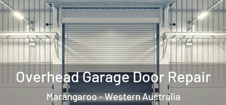 Overhead Garage Door Repair Marangaroo - Western Australia