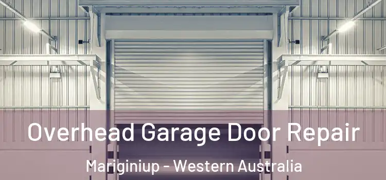 Overhead Garage Door Repair Mariginiup - Western Australia