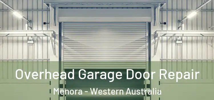 Overhead Garage Door Repair Menora - Western Australia