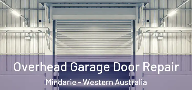 Overhead Garage Door Repair Mindarie - Western Australia