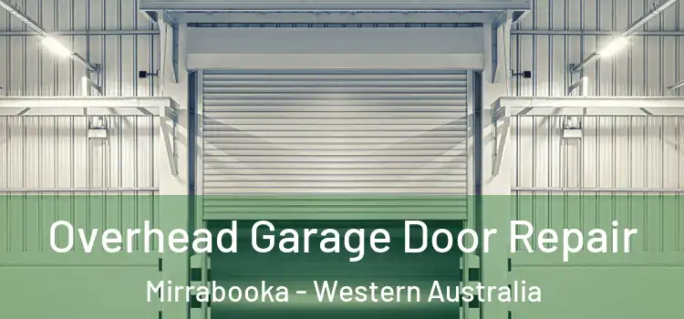 Overhead Garage Door Repair Mirrabooka - Western Australia