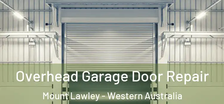 Overhead Garage Door Repair Mount Lawley - Western Australia