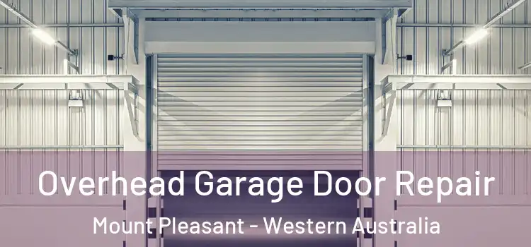 Overhead Garage Door Repair Mount Pleasant - Western Australia