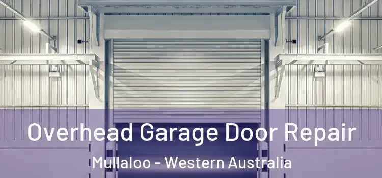 Overhead Garage Door Repair Mullaloo - Western Australia