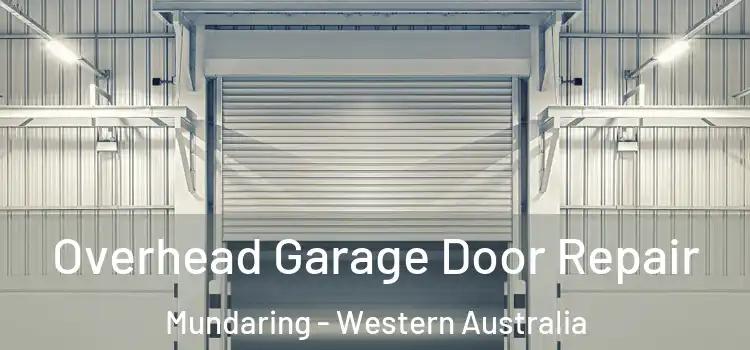 Overhead Garage Door Repair Mundaring - Western Australia