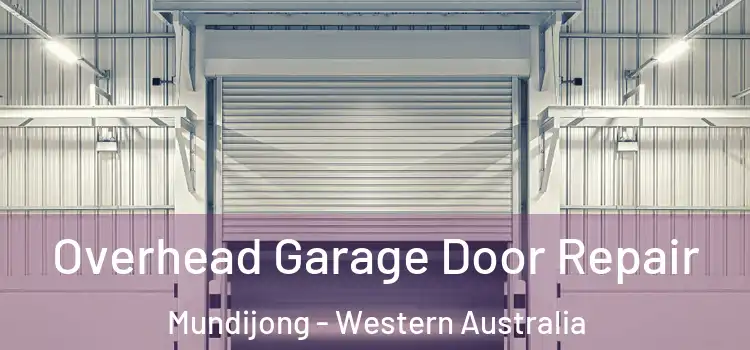 Overhead Garage Door Repair Mundijong - Western Australia