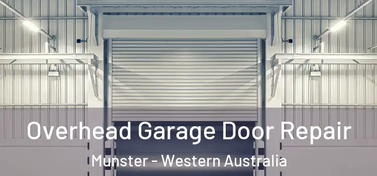 Overhead Garage Door Repair Munster - Western Australia