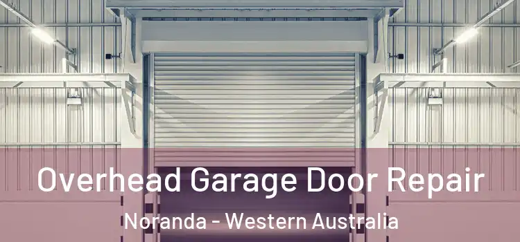 Overhead Garage Door Repair Noranda - Western Australia
