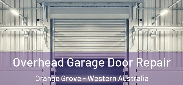 Overhead Garage Door Repair Orange Grove - Western Australia