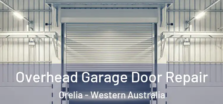 Overhead Garage Door Repair Orelia - Western Australia