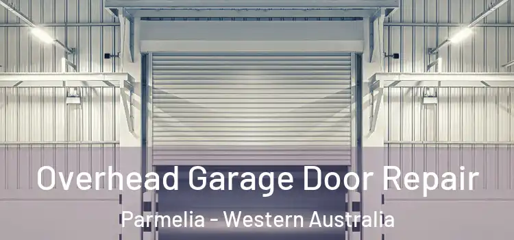 Overhead Garage Door Repair Parmelia - Western Australia