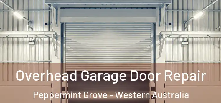 Overhead Garage Door Repair Peppermint Grove - Western Australia