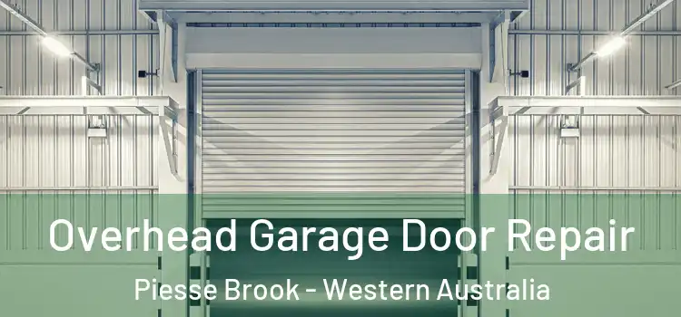 Overhead Garage Door Repair Piesse Brook - Western Australia