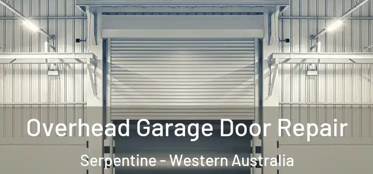 Overhead Garage Door Repair Serpentine - Western Australia