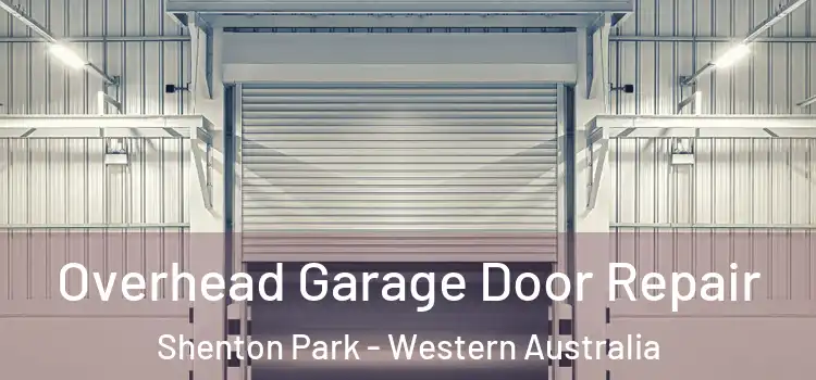 Overhead Garage Door Repair Shenton Park - Western Australia
