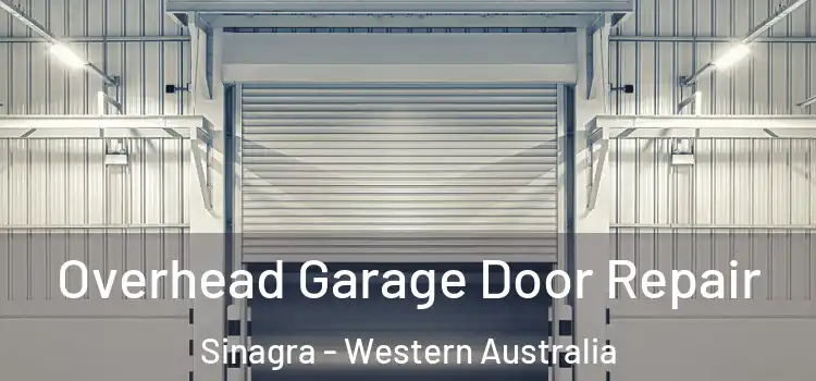 Overhead Garage Door Repair Sinagra - Western Australia