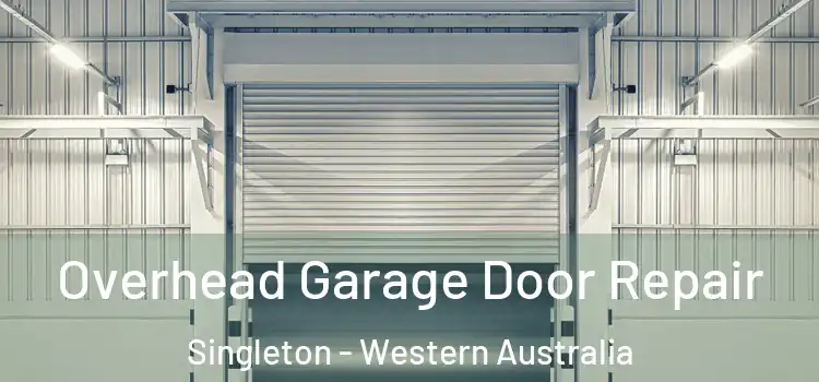 Overhead Garage Door Repair Singleton - Western Australia