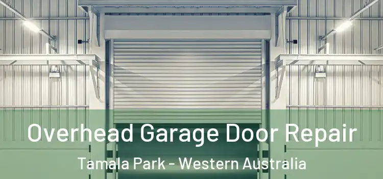 Overhead Garage Door Repair Tamala Park - Western Australia
